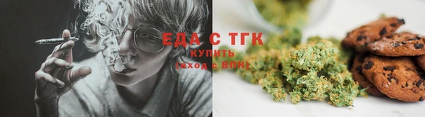 ECSTASY Алзамай